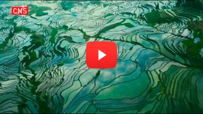 Hani Terraced Fields: A Paradise Harboring Ingenious Technology
