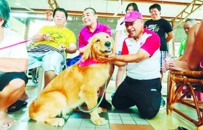 This is bigger than just cute animals. This is about healing that acknowledges our humanity. Some pain lives in the body but some pain needs a tail wag, a head nudge or a soft purr to say you are not alone. – SUNPIC