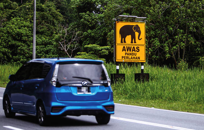 The East-West Highway has a reputation for being one of the most dangerous roads to drive on due to the hilly terrain, eerie darkness at night and frequent encounters with wildlife. – BERNAMApix