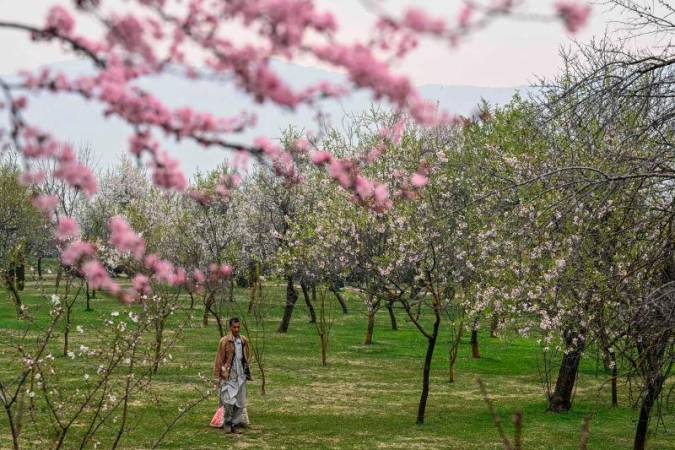 For representational purposes-Kashmir, India. AFPpix