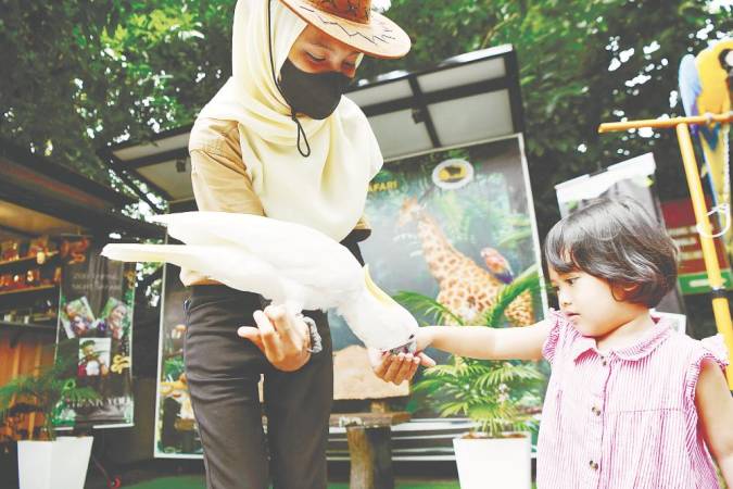 Children should wash their hands thoroughly with soap and water after touching animals, soil or water sources. - BERNAMApix