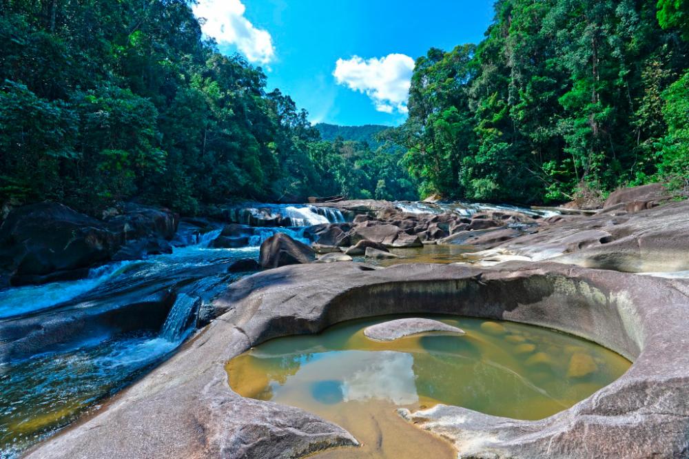 $!Endau-Rompin National Park – TRIPZILLA