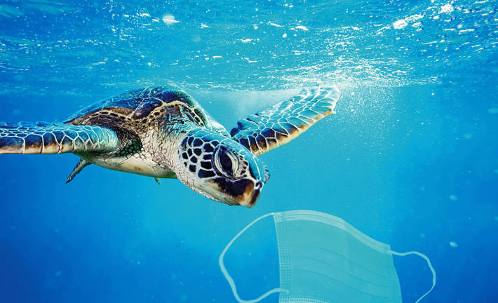 Pressing issues like overfishing, marine pollution, degradation of habitat and climate change are posing a major strain on our ecosystems.