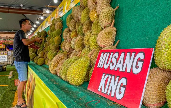 DURIAN INDUSTRY SWEET SUCCESS