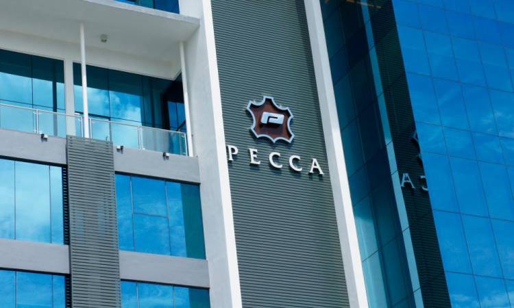 Pecca achieves record PAT of RM15.3 million in 2Q25