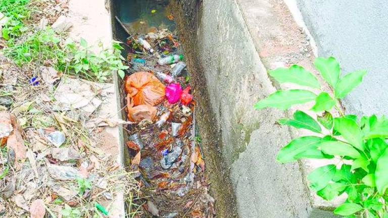 Limited frequency of inspections by the council has failed to address ongoing problems such as clogged drains, leaving the area prone to flash floods.