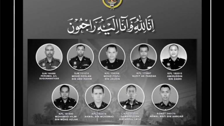 Credit - Tun Pehin Sri Dr Haji Wan Junaidi Bin Tuanku Jaafar/FBPIX