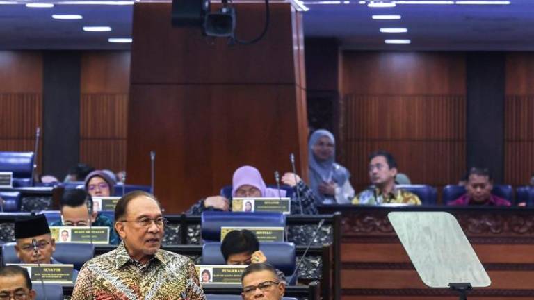 - BERNAMApix
