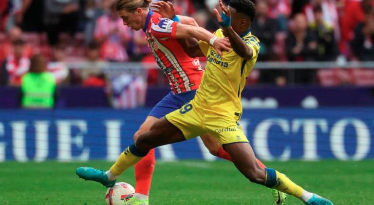 Dario Essugo has joined Chelsea from Sporting Lisbon. - AFPpix