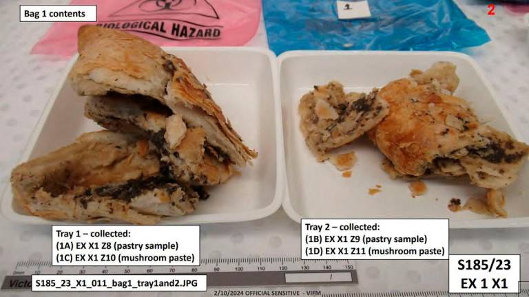 Photo of plates containing samples of a beef Wellington meal laced with toxic mushrooms that was prepared by Australian home cook Erin Patterson - AFP PHOTO / SUPREME COURT OF VICTORIA
