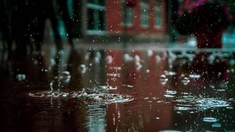 For representational purposes only - rain - PEXELSpix