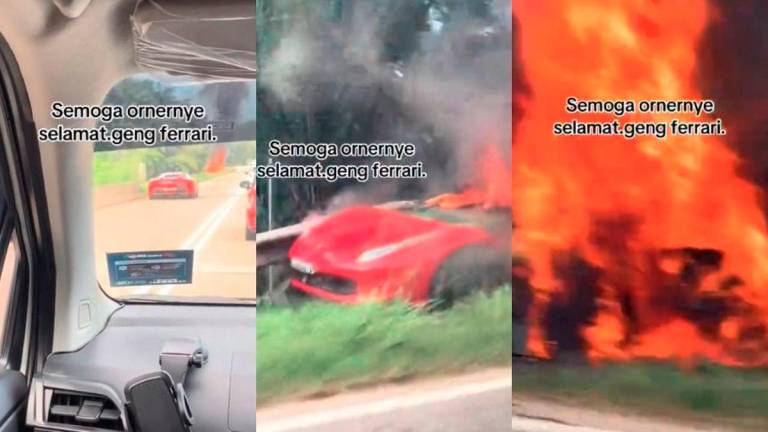 Credits - @norzaopai / TikTok
