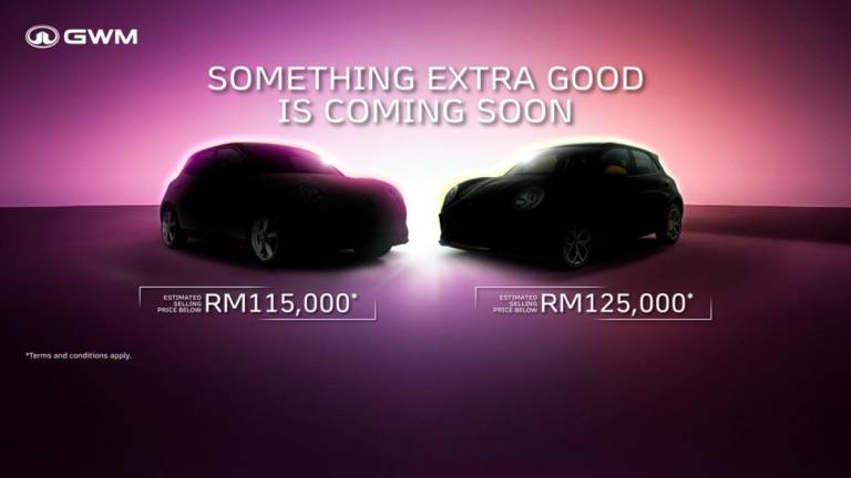 Bookings open for the new Ora Good Cat series