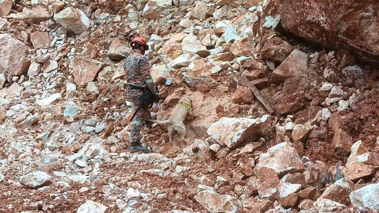 Gambar Kredit: Bomba &amp; Penyelamat Pahang / Facebook