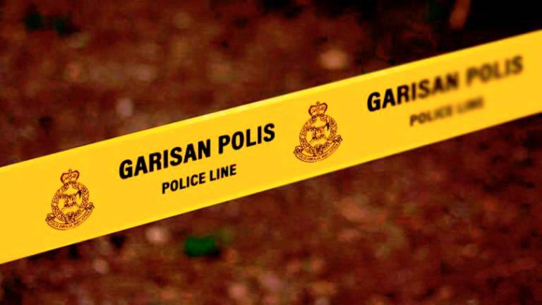 Gambar fail Bernama