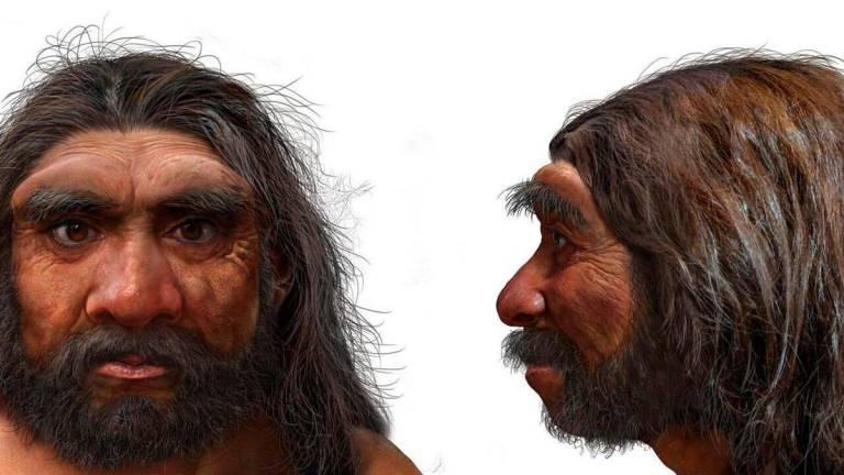 (FILES) Researchers believe the reconstructed million-year-old skull belonged to the Homo longi species discovered in 2021. - AFP