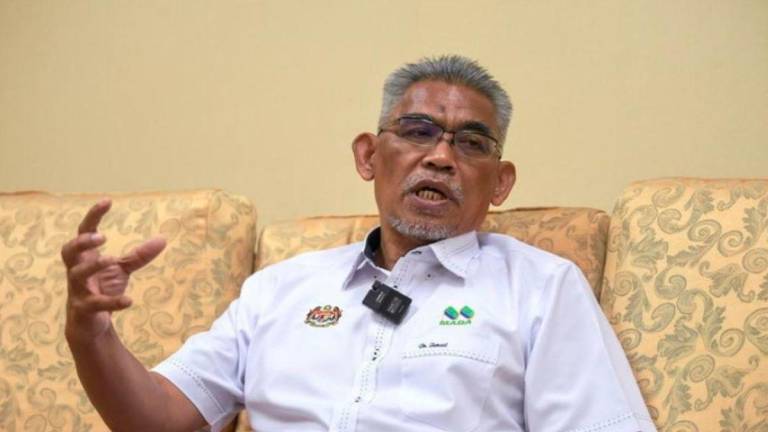 Pengerusi MADA Datuk Dr Ismail Salleh. - BERNAMA