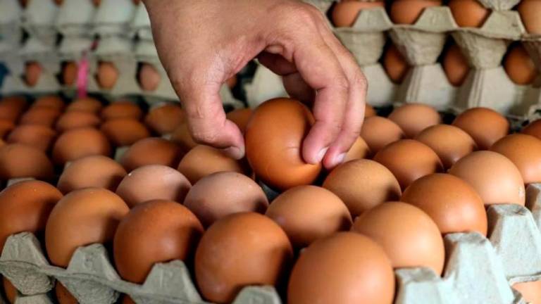 Floating chicken and egg prices will provide further savings of RM2 billion. – Bernama filepic