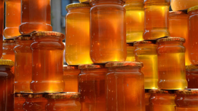 Stingless bee honey low sugar, high anti oxidant content