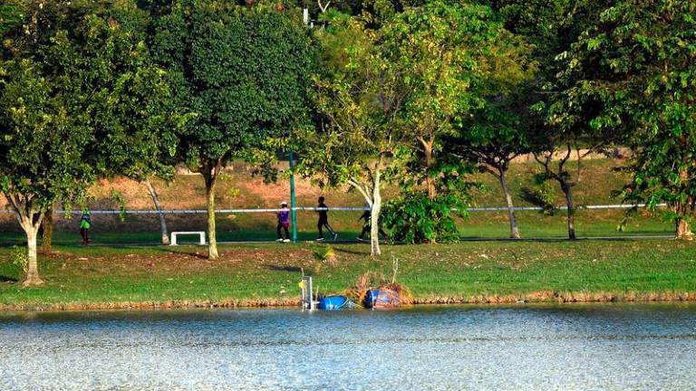 Gambar sekadar hiasan - fotoBERNAMA