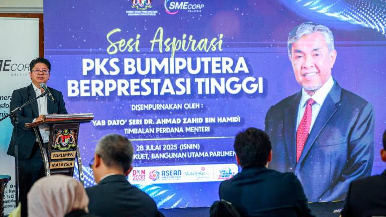 - BERNAMApix