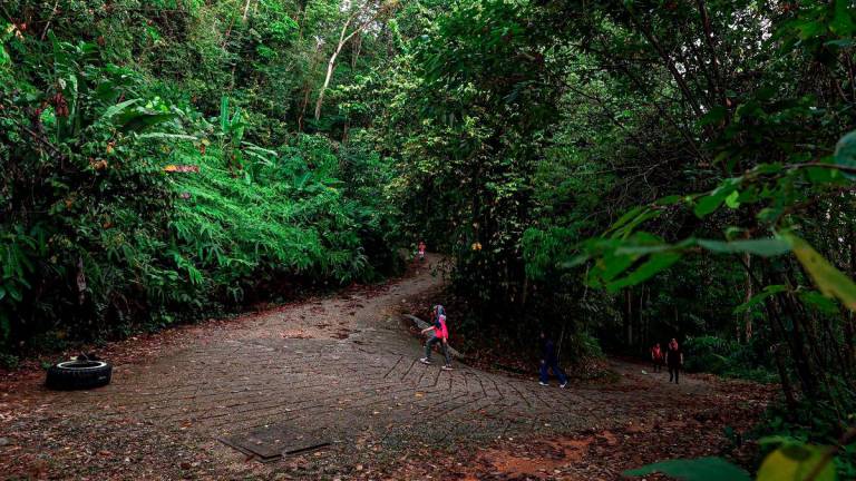 Gambar hiasan. - BERNAMA