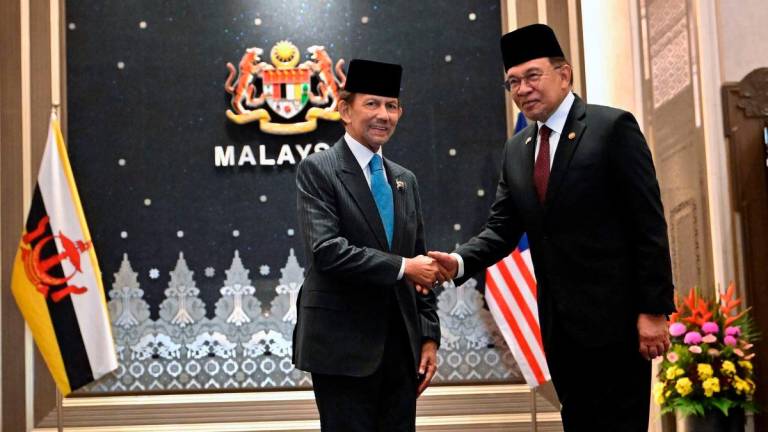 Bernamapix
