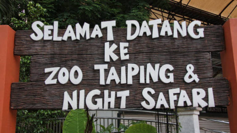 Tickets to visit Taiping Zoo &amp; Night Safari cheaper from June 1
