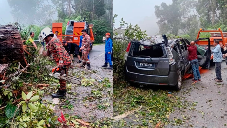 Bernamapix