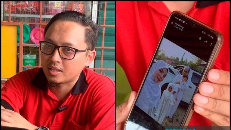 BERNAMApix