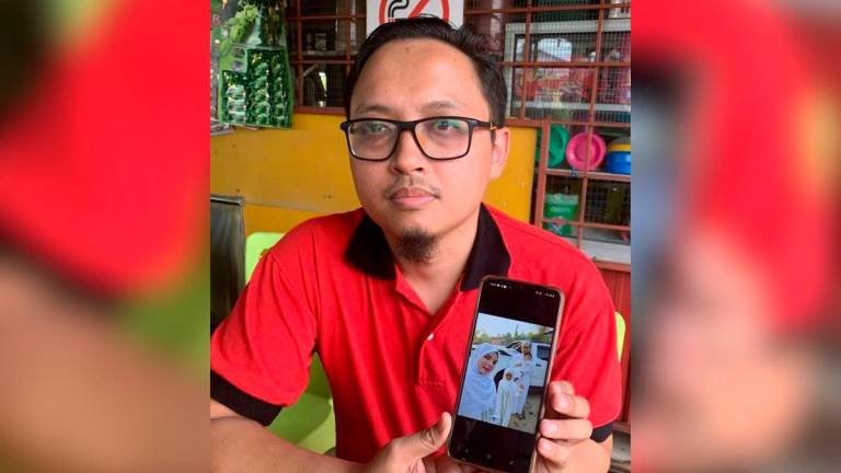 BERNAMApix