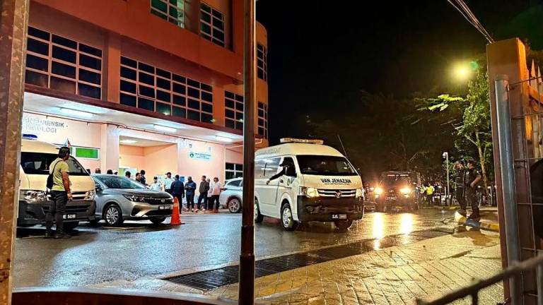 - BERNAMApix