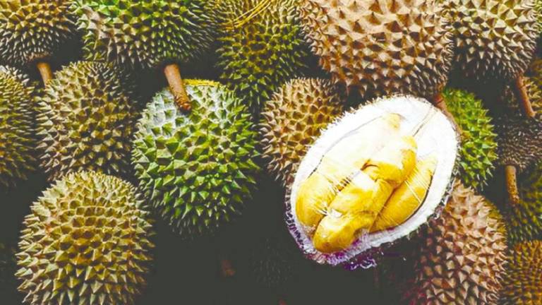 Gambar hiasan - FotoBernama