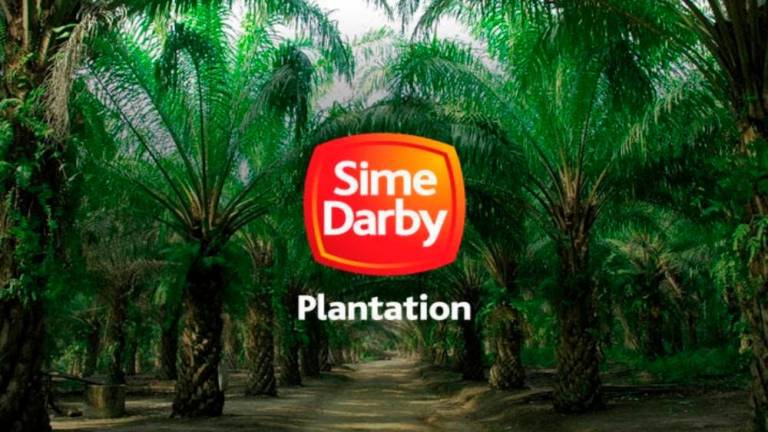 Sime Darby Plantation FY23 net profit slips to RM1.86 billion