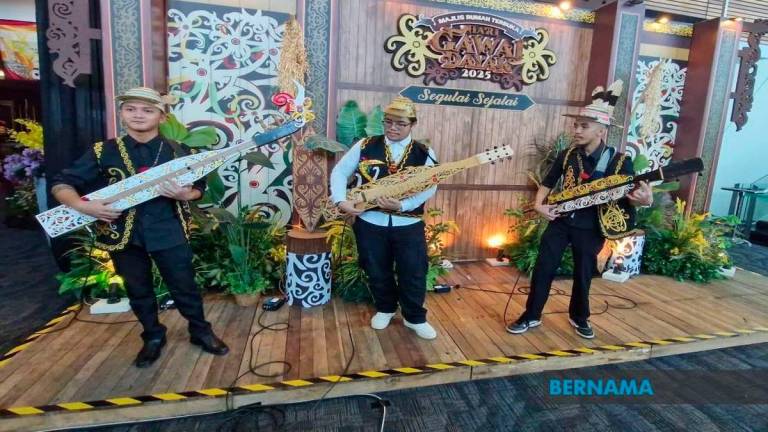 BERNAMApix