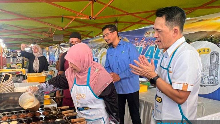 BERNAMApix