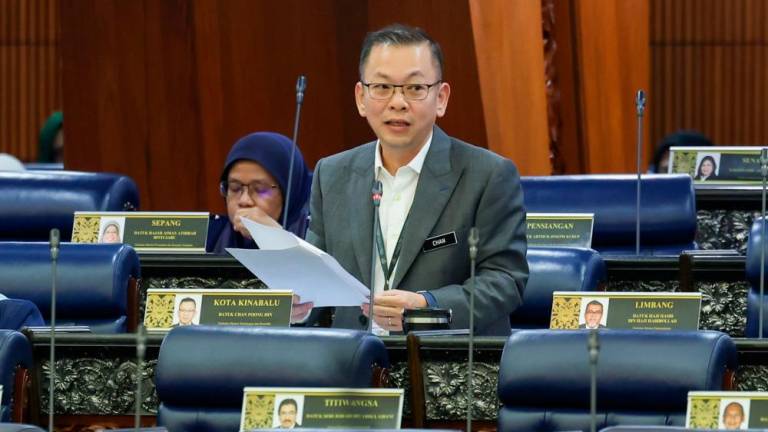 Chan speaking during a question-and-answer session in the Dewan Rakyat today. – Bernamapic