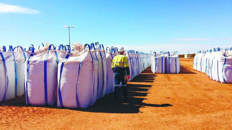 Rare earths are vital components in a vast array of modern technologies, from electronics (smartphones, computers) and clean energy (wind turbines, electric vehicles) to defence systems (missiles, precision-guided munitions). – REUTERSPIX