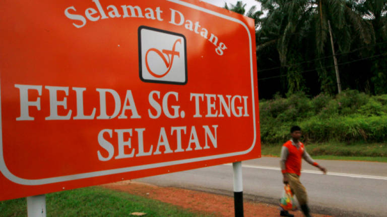 Losing Felda constituencies means losing the government, delegate reminds party