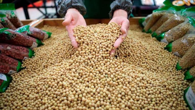 An employee picks out bad beans from a pile of soybeans at a supermarket in Wuhan, Hubei province April 14, 2014. - REUTERS