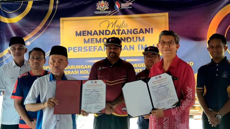 BERNAMApix