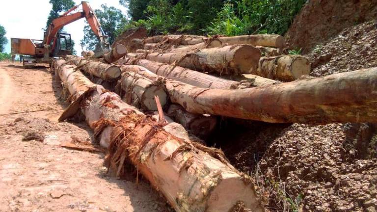 Image for visual purposes - Photo by BERNAMA