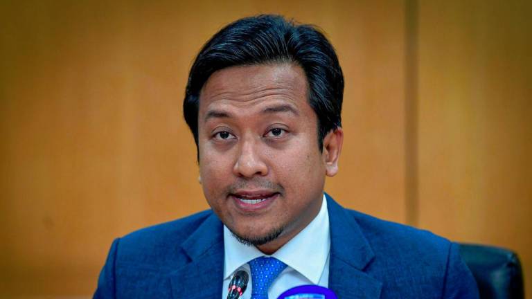 BERNAMApix