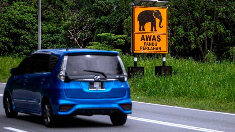 Image for visual purposes - Photo by BERNAMA