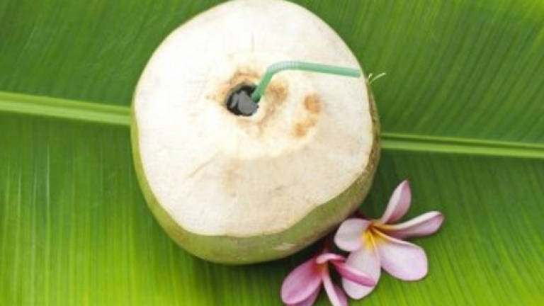 Young coconut water good for cooling down body