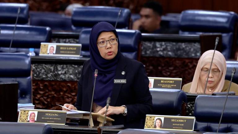 BERNAMAPix