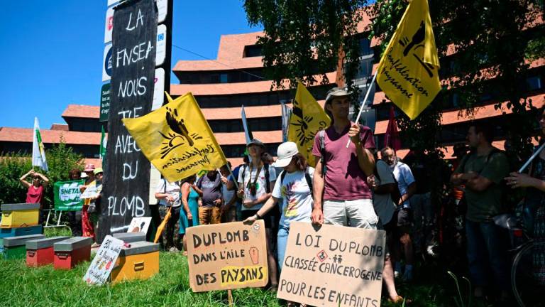 Farmers hold banners and flags of the agricultural union Confederation Paysanne during a protest against the so-called Duplomb agricultural bill, which aims to “remove constraints on the exercise” of their profession, particularly by easing access to pesticides” in Pau, south-western France, on June 28, 2025. (Photo by Gaizka IROZ / AFP)