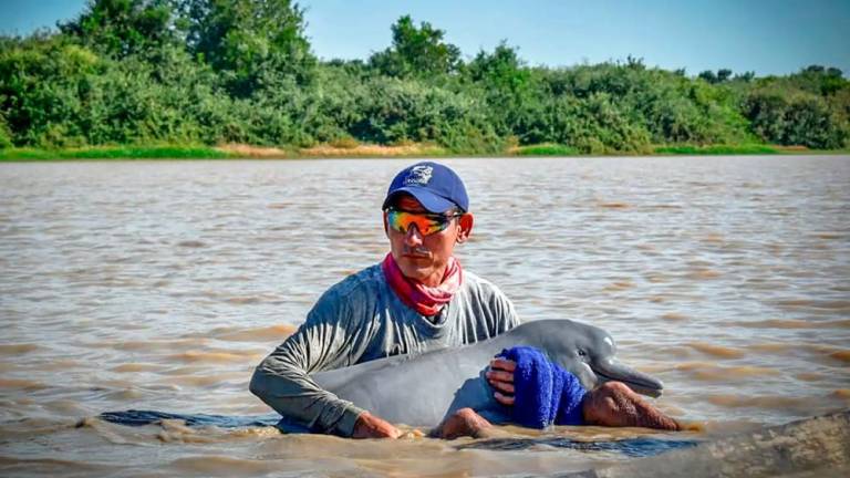 River level at Amazon rainforest port hits 122-year low amid drought