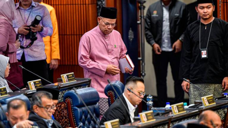 Bernamapix