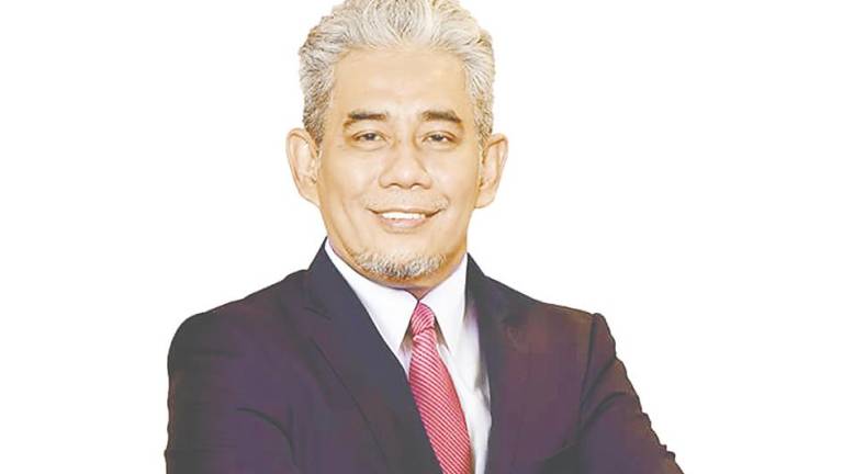 Tengku Badl Shah says Agrobank anticipates the growth to continue as it focuses more on SMEs and products related to microfinancing and SMEs involved in national food production.